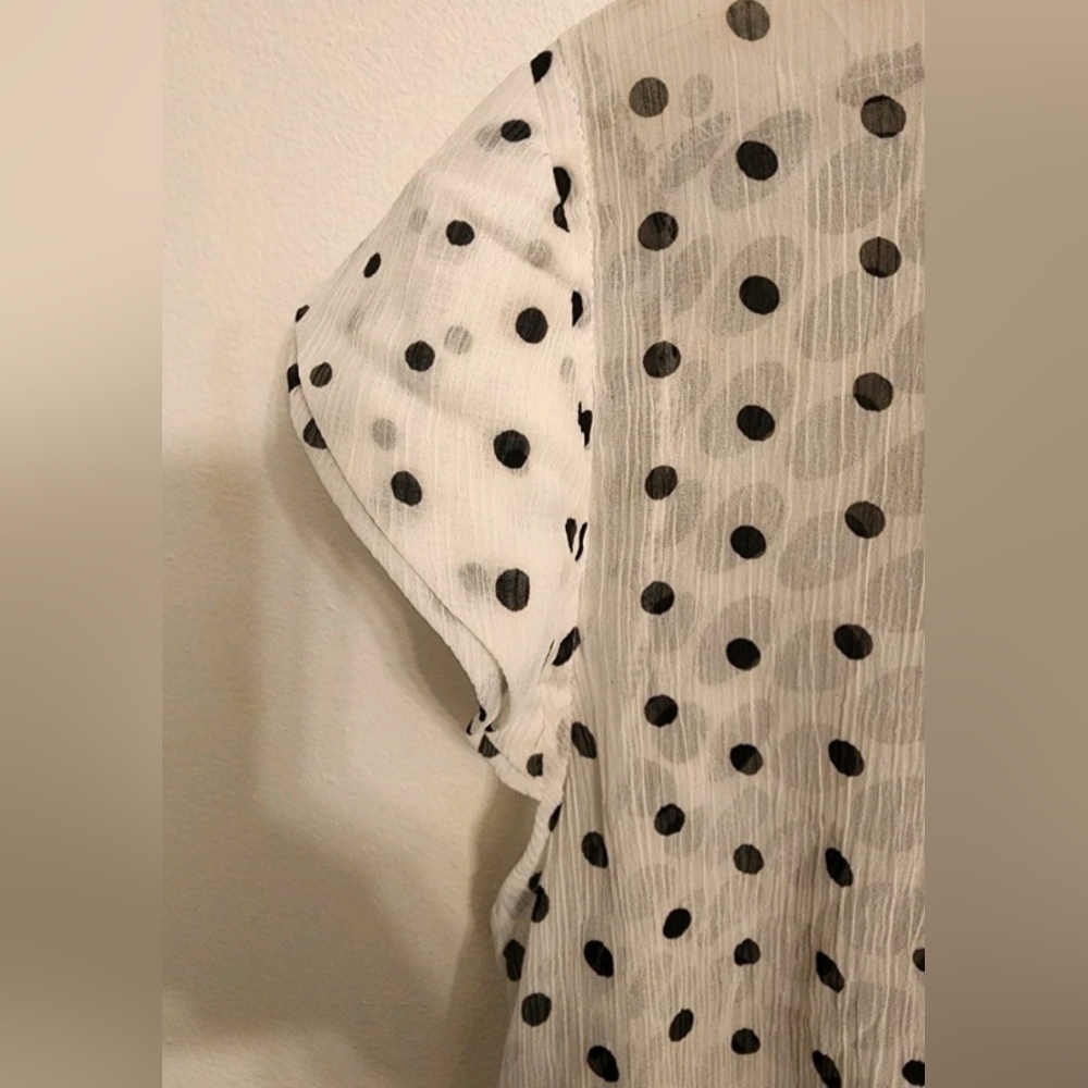 Flash Sale: Polka Dot Ruffle Blouse - Picture 5 of 6